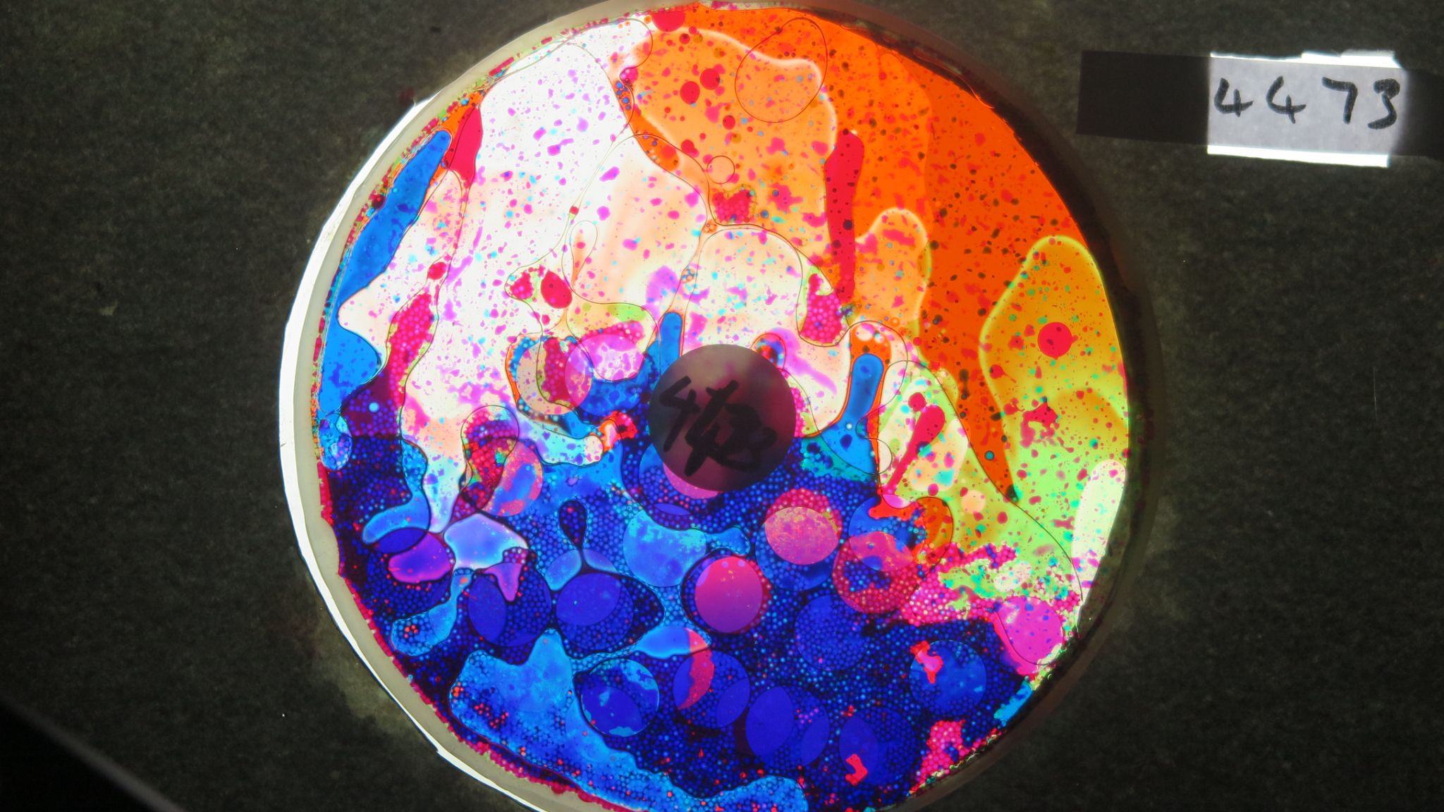 BV4473 bubble vision oil wheel